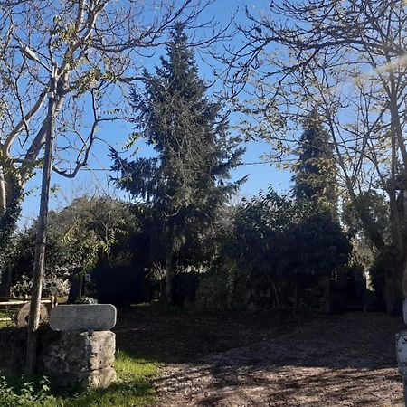 Pazo San Lorenzo- Puebla De Trives Exteriér fotografie